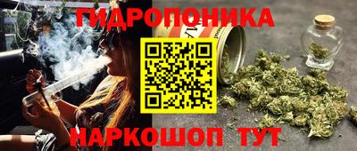 mdma Тверь