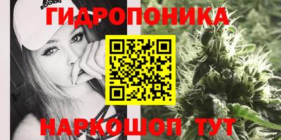 mdma Тверь