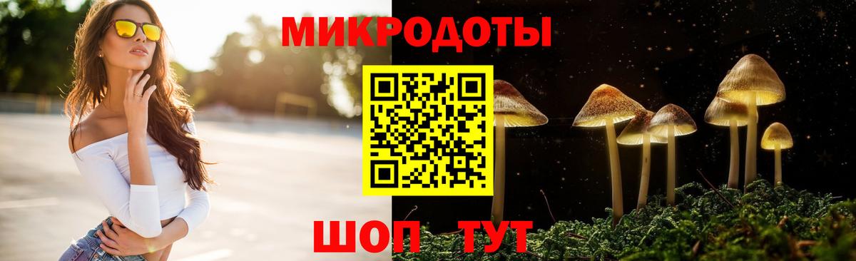 Псилоцибиновые грибы GOLDEN TEACHER Москва